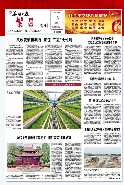 20250617报纸