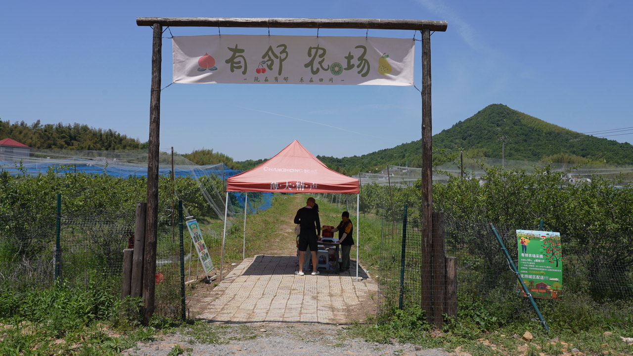 C1339T01.JPG