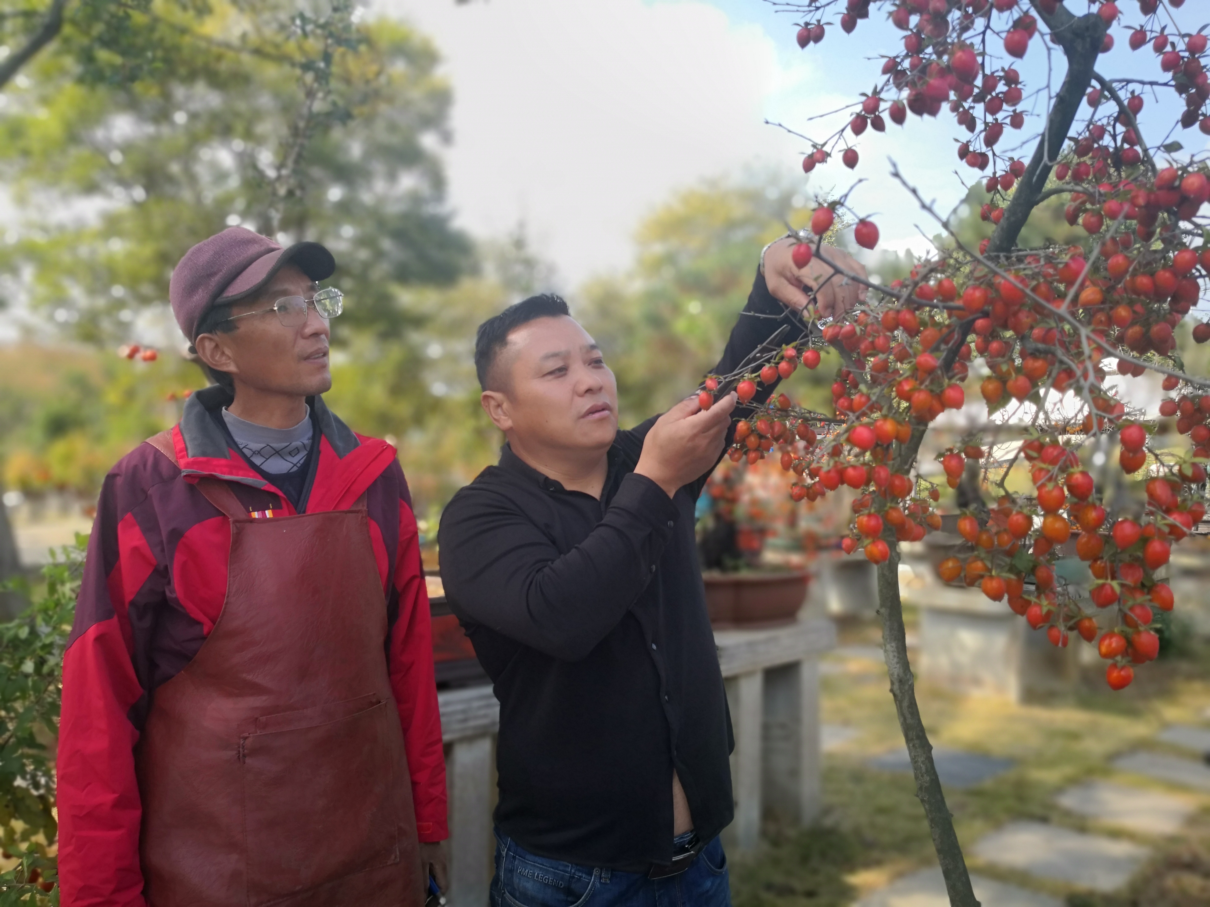 微信图片_20221107163701.jpg