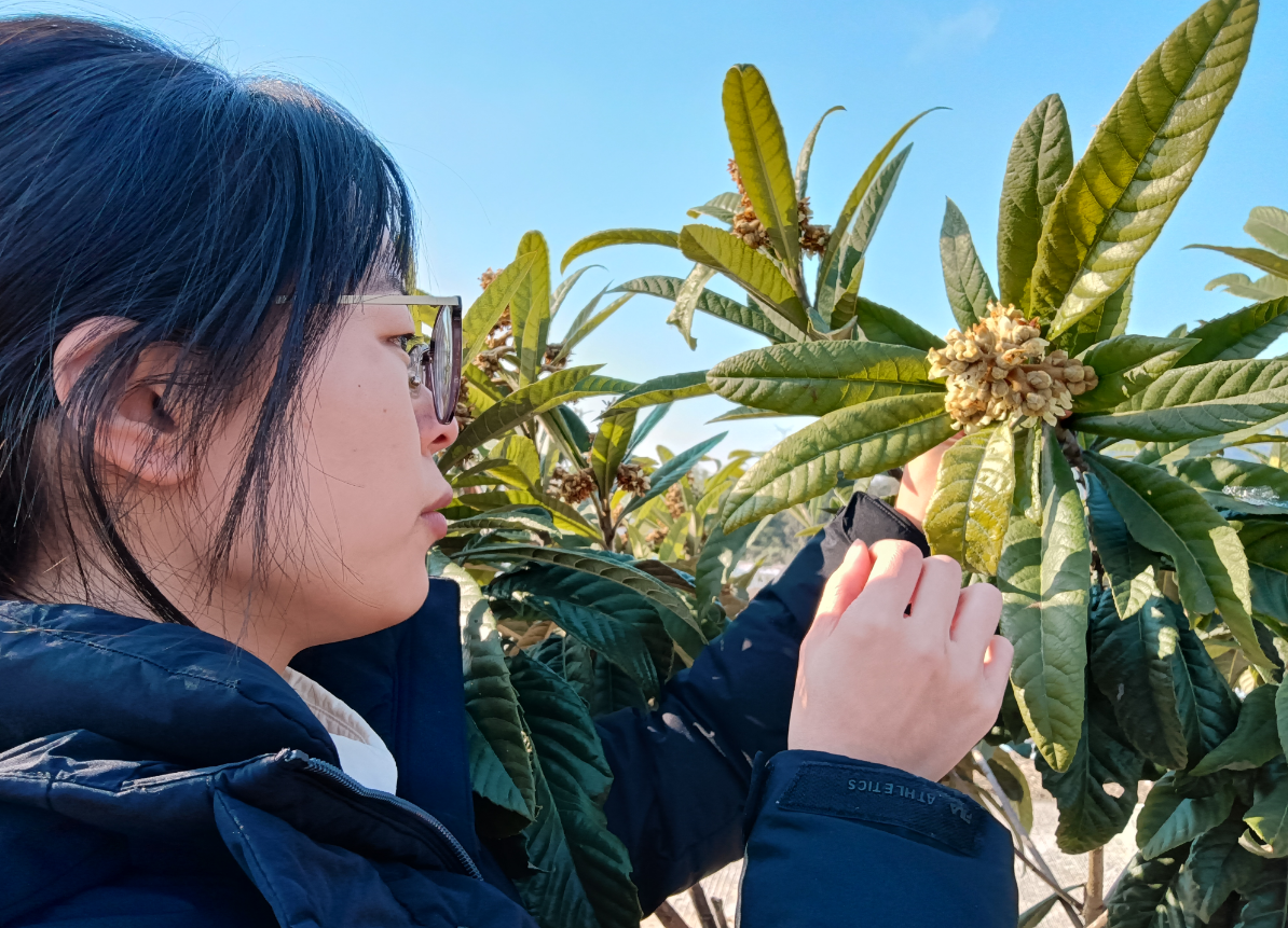 6f962414-4c3d-457c-84b9-d14ed91cc782.png 6f962414-4c3d-457c-84b9-d14ed91cc782.png