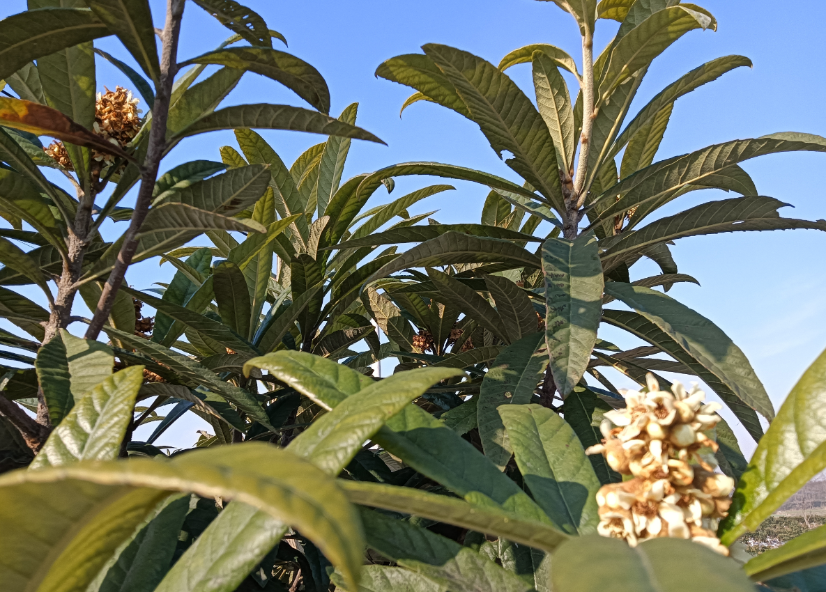 09238800-4697-4f93-8809-68ecbe6aa3c9.png 09238800-4697-4f93-8809-68ecbe6aa3c9.png