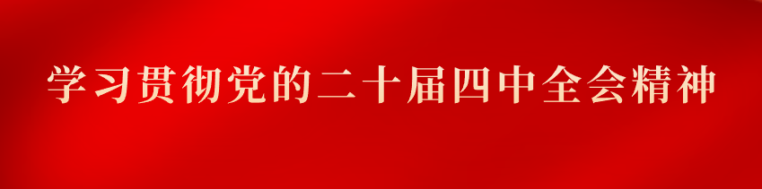 学习贯彻党的二十届四中全会精神
