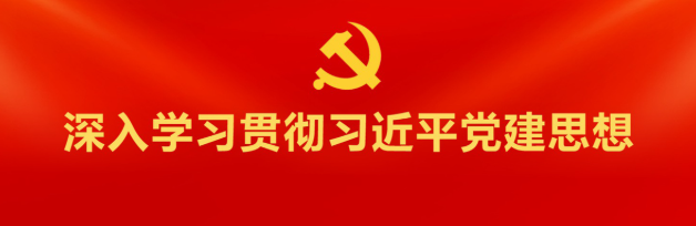 深入学习贯彻习近平党建思想